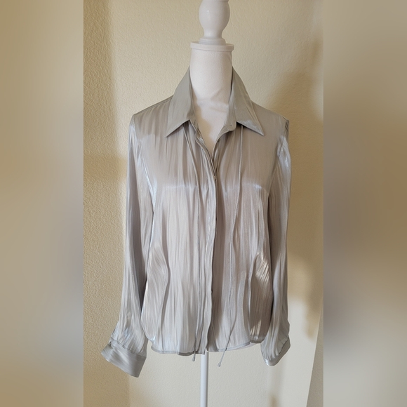 Zara Tops - ZARA NWT Silver Liquid Satin Blouse size Large. Metallic Sheer Dressy Top